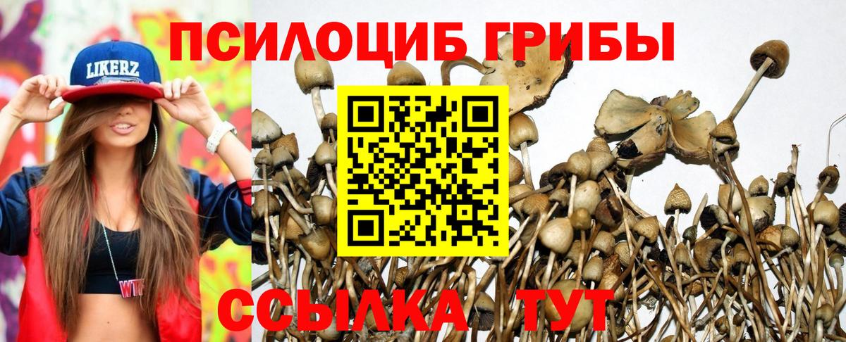 Воронеж  Псилоцибиновые грибы MAGIC MUSHROOMS  Вход с VPN 